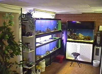 900 Liter Anlage f�r gr��ere Fische